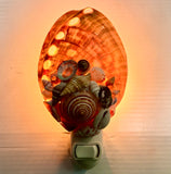 Abalone Shell Nightlight