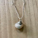 Seashell Charm Necklace