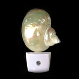 Soft Glow Shell Night Light