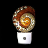 Soft Glow Shell Night Light