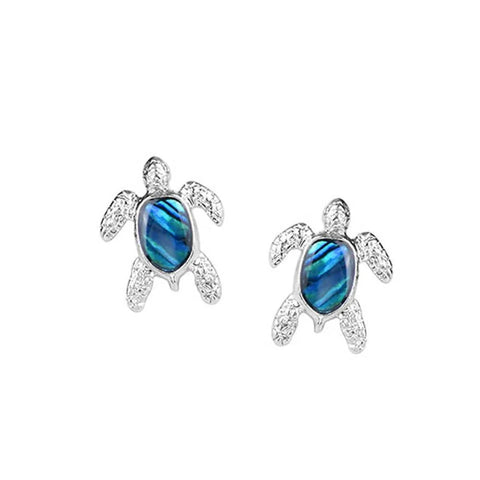 Paua Sea Turtle Stud Earrings