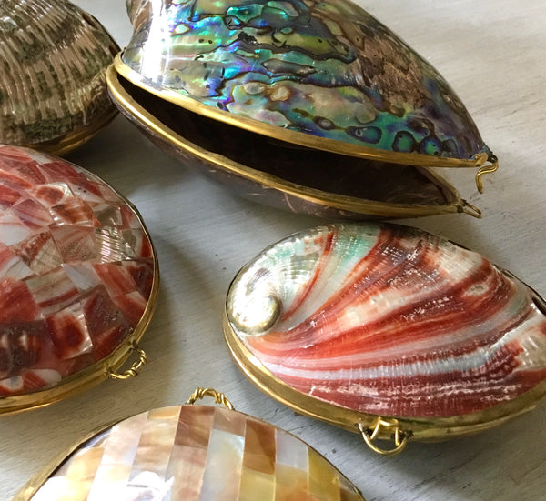 Sea Shell Coin Seashell Coin Purse β Sea Things Ventura