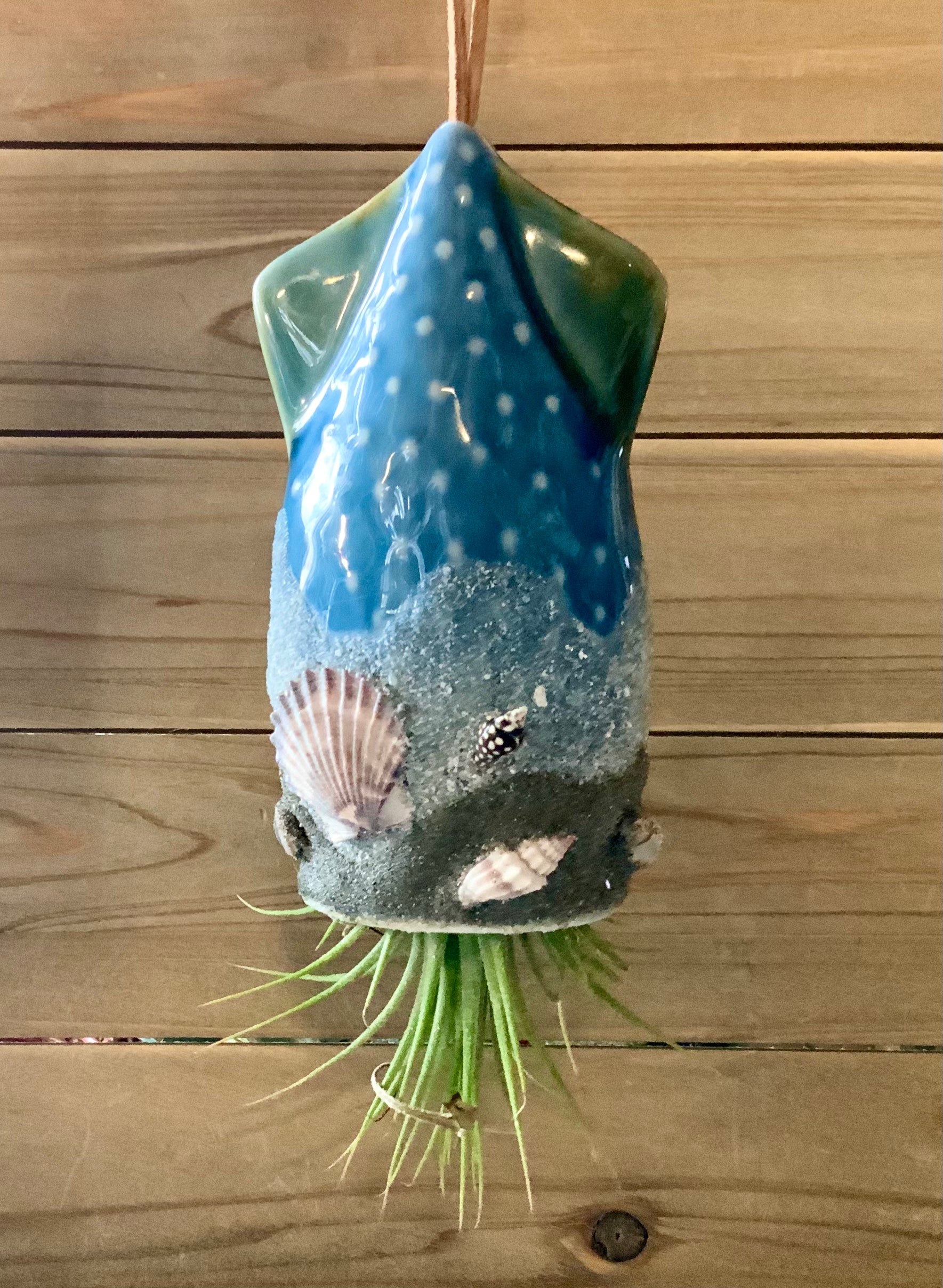 squid air plant holder Sandy Seashell Squid Plant Holder
