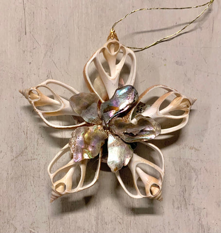 Abalone Hibiscus Star Ornament
