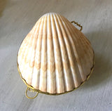 Seashell Coin Purse