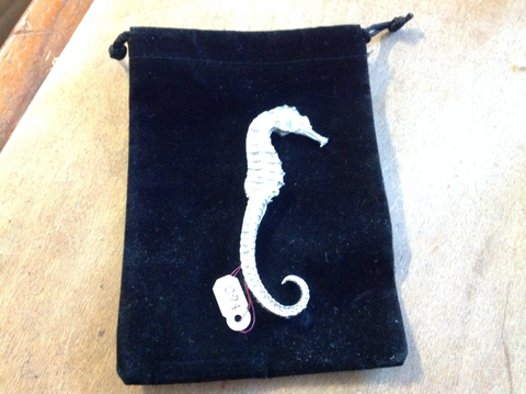 Seahorse brooch