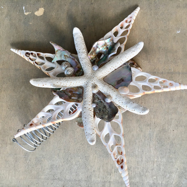 Abalone Shell Tree Topper Star – Sea Things Ventura