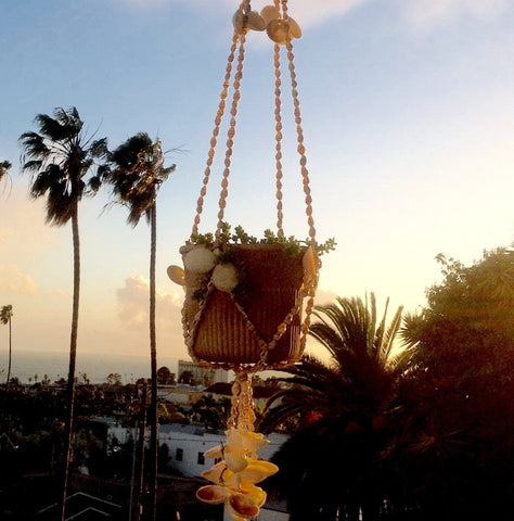 Seashell Plant Hanger