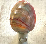 Abalone Shell Nightlight