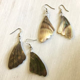 Moth Wing MOP Earrings