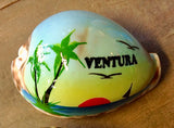 Carved and Painted  Cowries