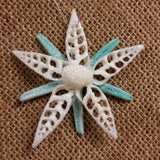 Starfish Shell Star Ornament
