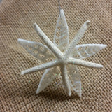 Starfish Shell Star Ornament