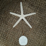 Starfish & Sea Cookie Dangle Ornament