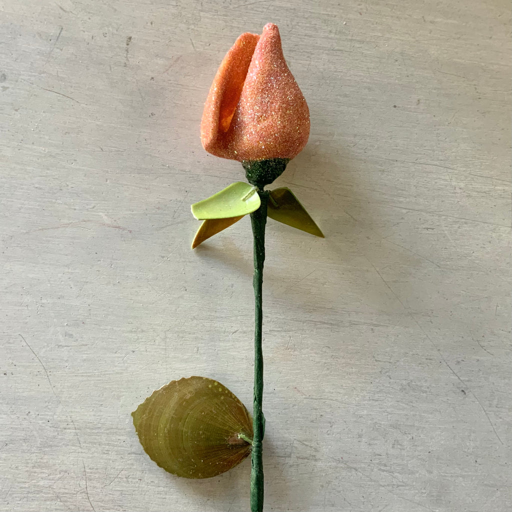 Shell Rose – Sea Things Ventura