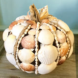 Seashell Harvest Pumpkin