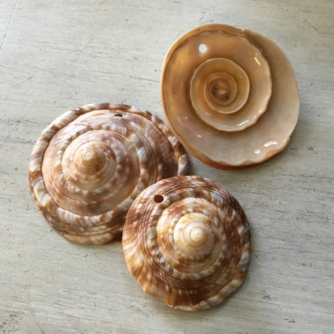 Cameo Shell Spiral Pendant