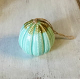 Sea Life Ceramic Air Plant Holder