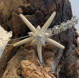 Starfish Headband