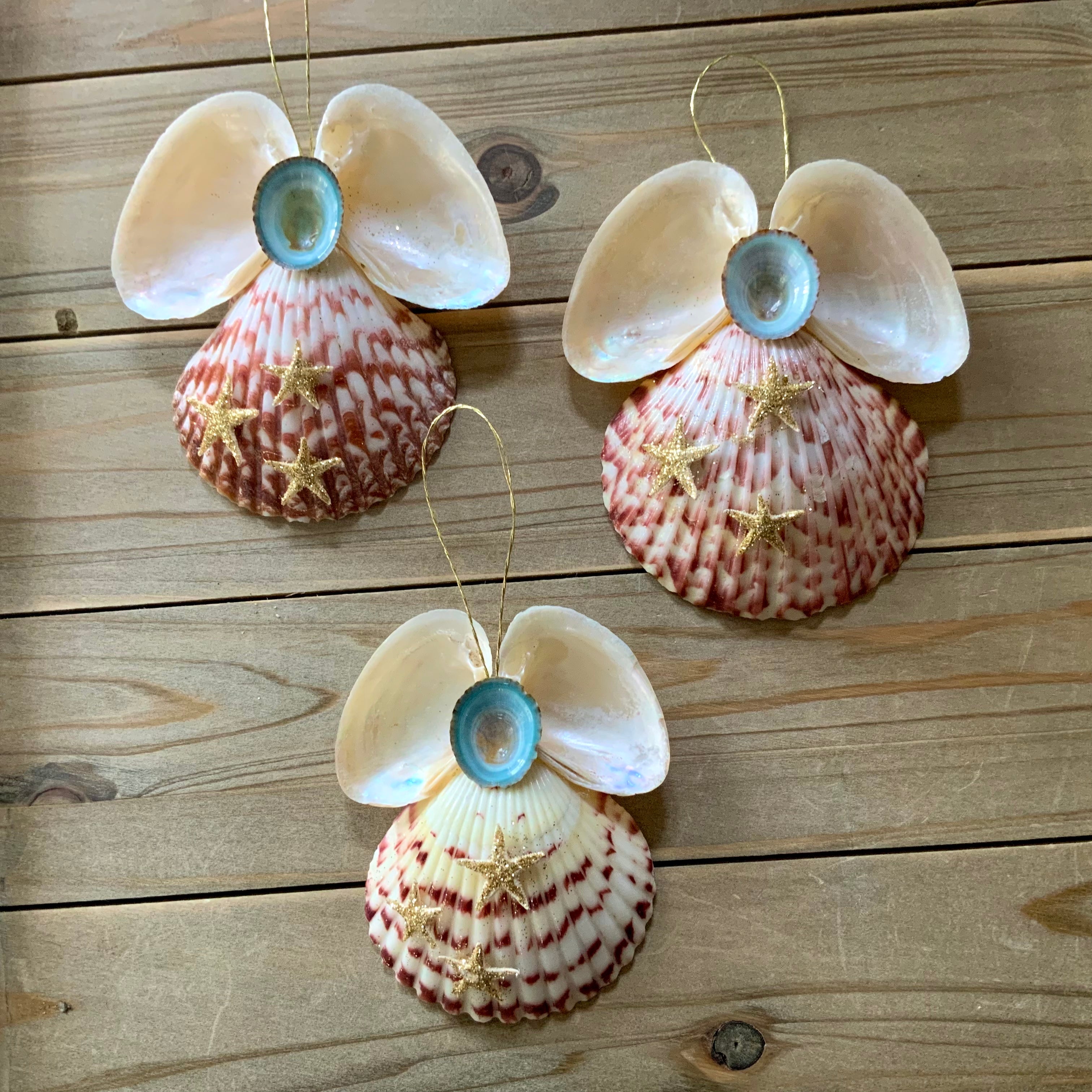 Limpet Starfish Angel Ornament – Sea Things Ventura