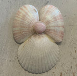Simple Seashell Angel