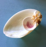 Tropical Pearl Clam Ring Dish