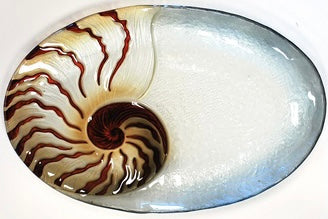 Nautilus Glass Plate
