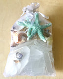 Seaglass Starfish & Seashell Bag