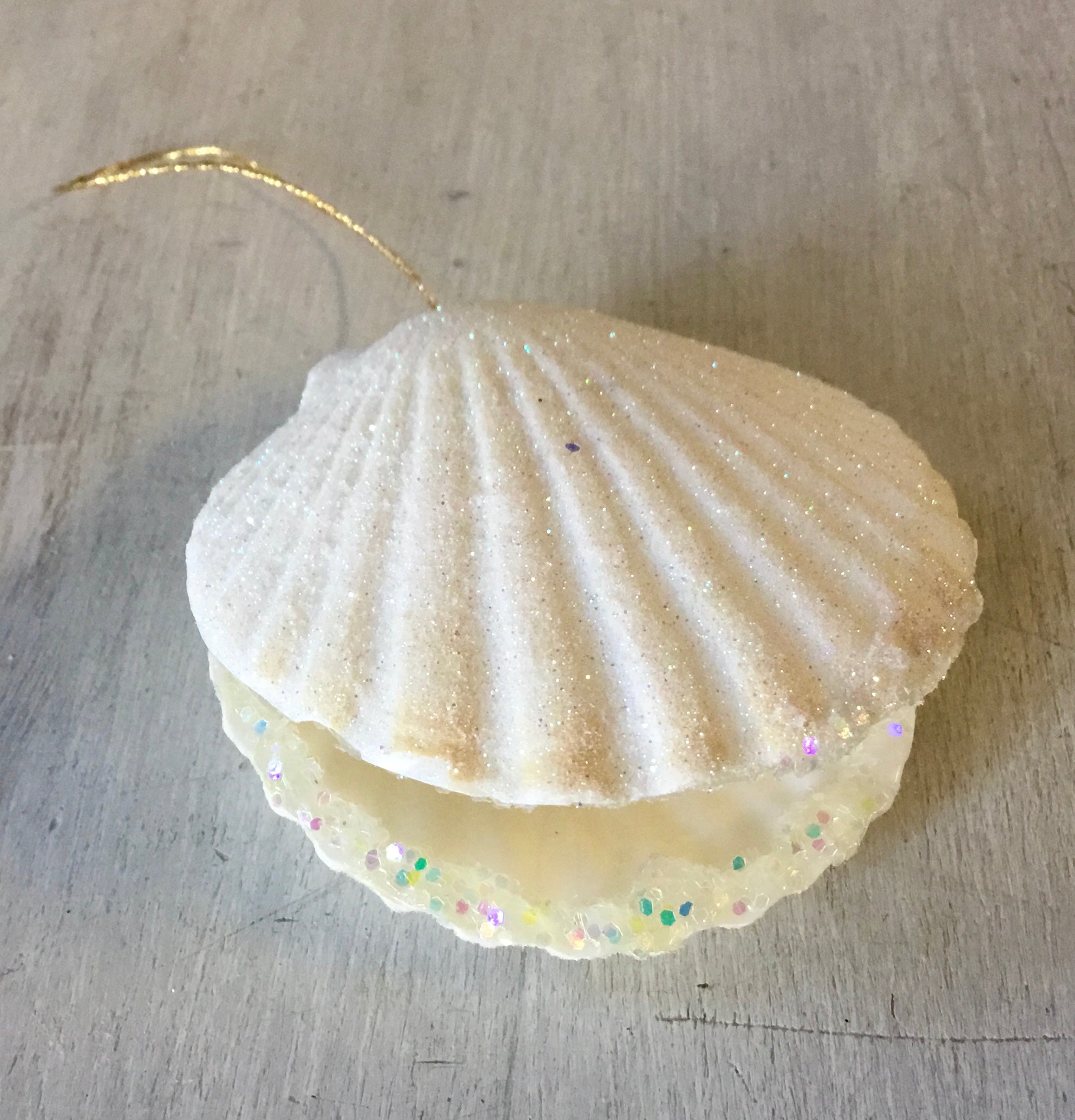 Open Coiling Shells Sea Shell Open