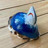 Shark Cowrie Seashell