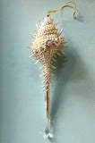 Jeweled Spindle Shell Ornament