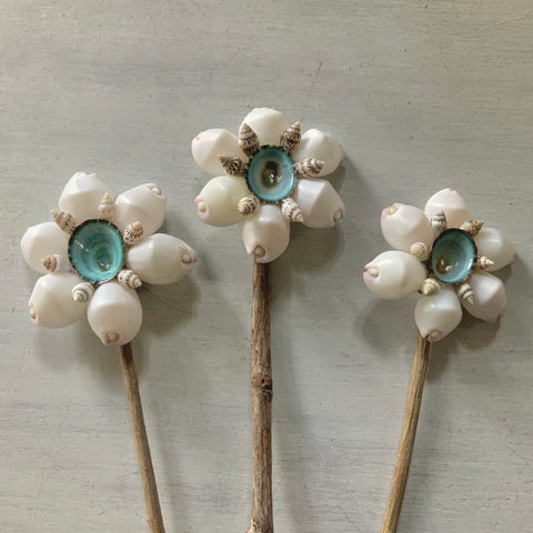 White Cowrie Shell Flower