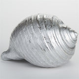 Tonna Shell