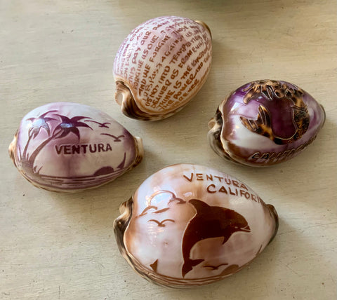 Carved and Painted  Cowries