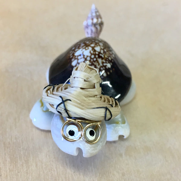Sea Shell Lucky Lucky Seashell Turtle – Sea Things Ventura