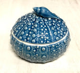 Seashell Sea Urchin Box
