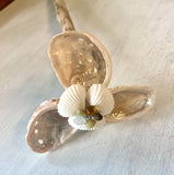 Windmill Abalone Bloom