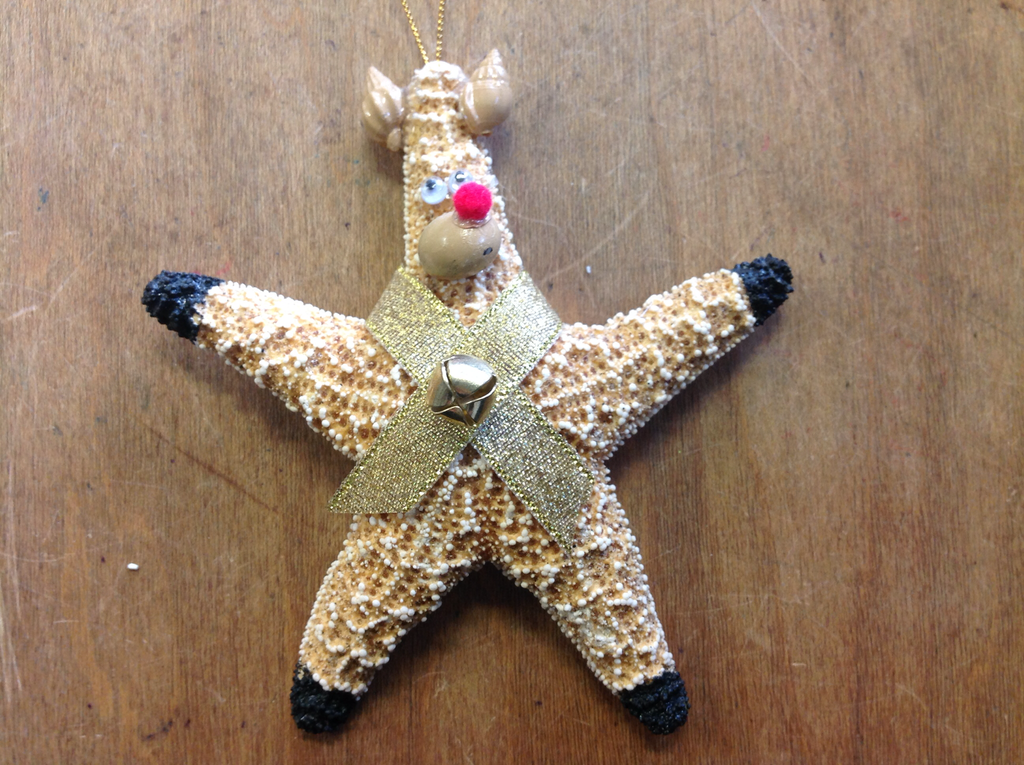 Rudolph Starfish Ornament