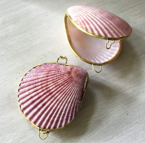 Sea Shell Coin Seashell Coin Purse β Sea Things Ventura