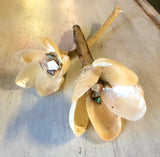 Jingle Shell Abalone Flower