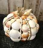 Seashell Harvest Pumpkin