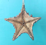 Jeweled Champagne Starfish Ornament