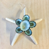 Starfish Limpet Ornament