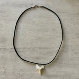 Simple Shark Tooth Leather Necklace