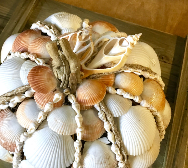 Seashell Harvest Pumpkin – Sea Things Ventura