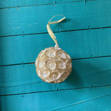 Clam Shell Sparkle Bulb Ornament