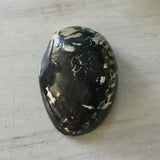 Polished Black & White Abalone