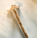 Windmill Abalone Bloom