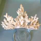 Ocean Coral Tiara