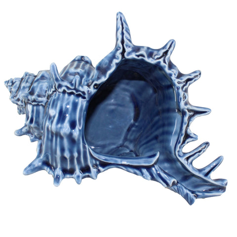 Blue Murex Porcelain Shell Holder
